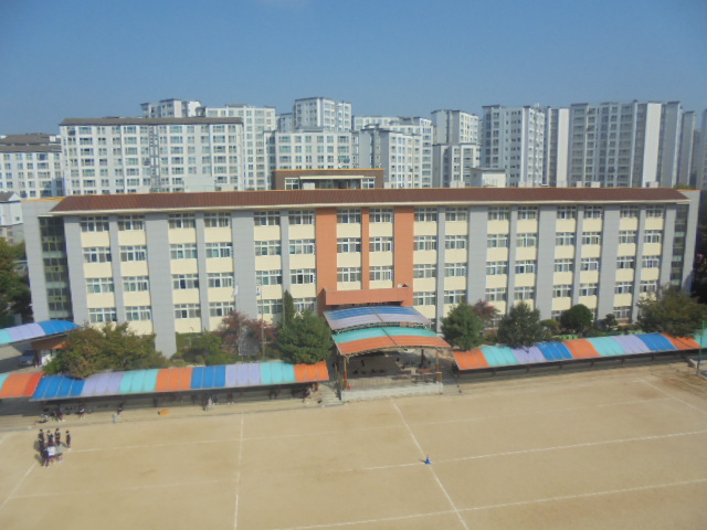 DSC00006.JPG